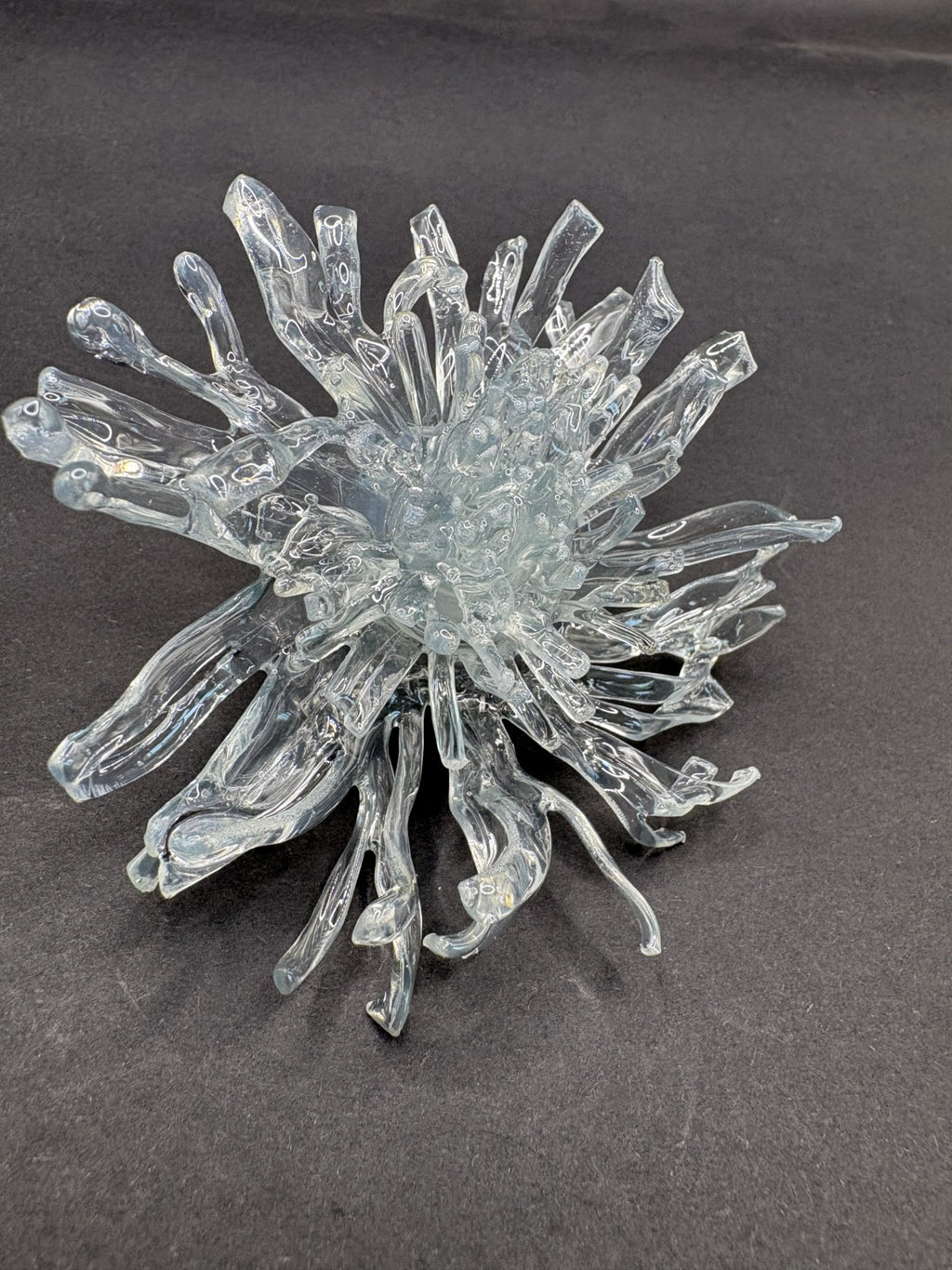 Anillo Dandelion Transparente