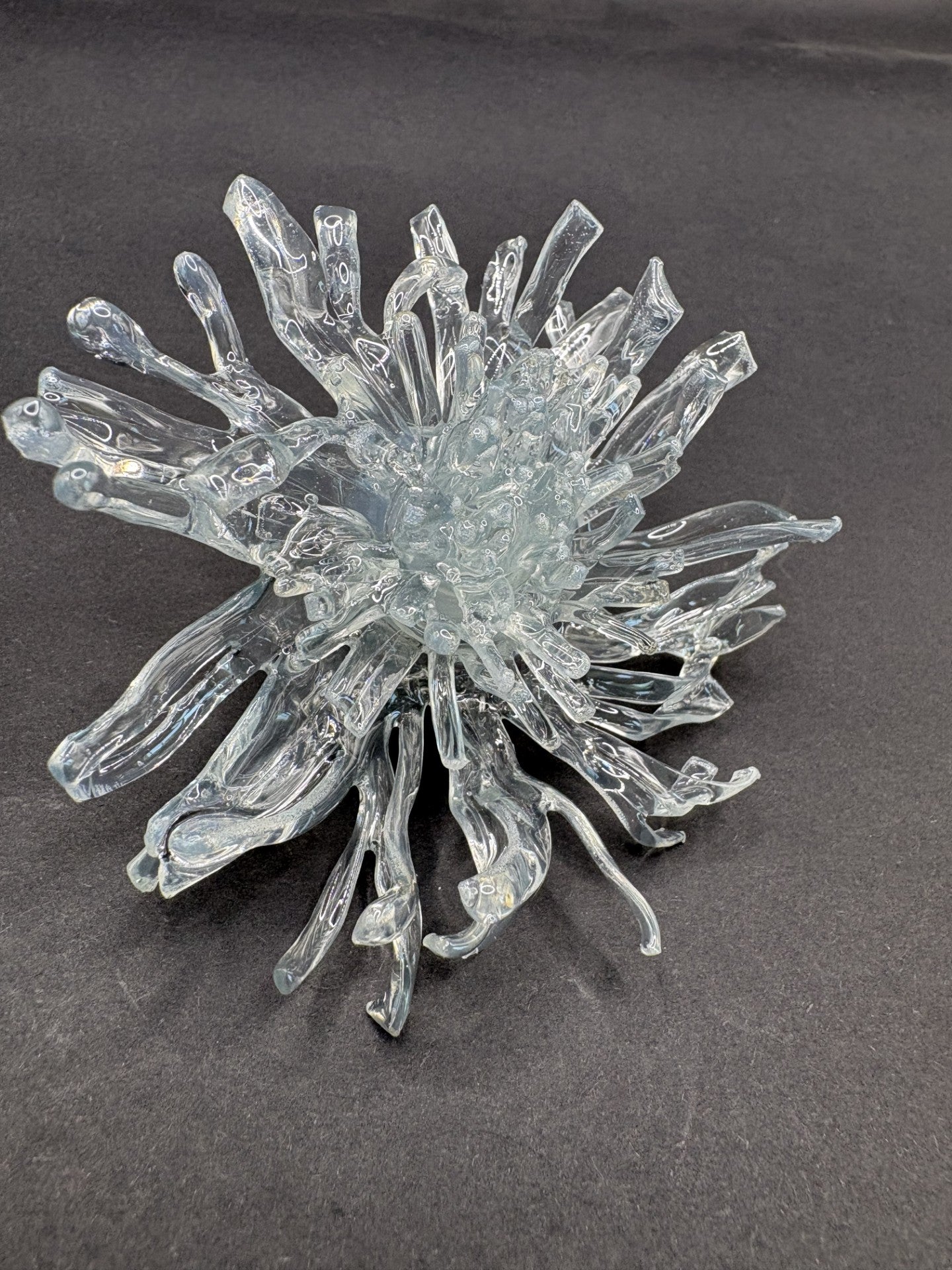 Anillo Dandelion Transparente