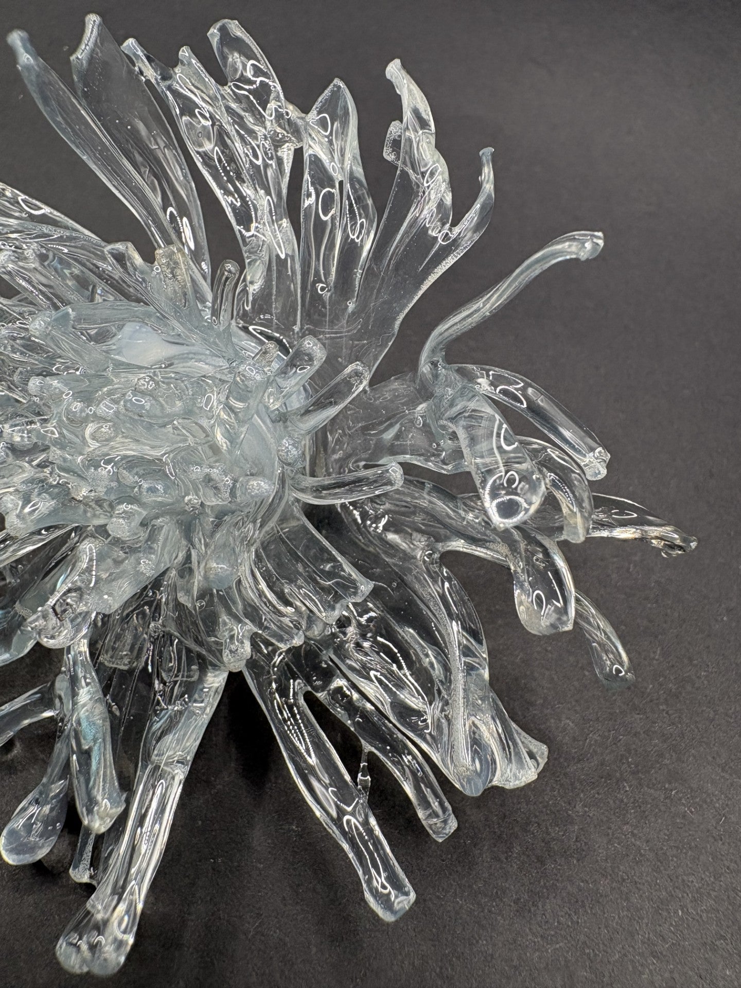 Anillo Dandelion Transparente