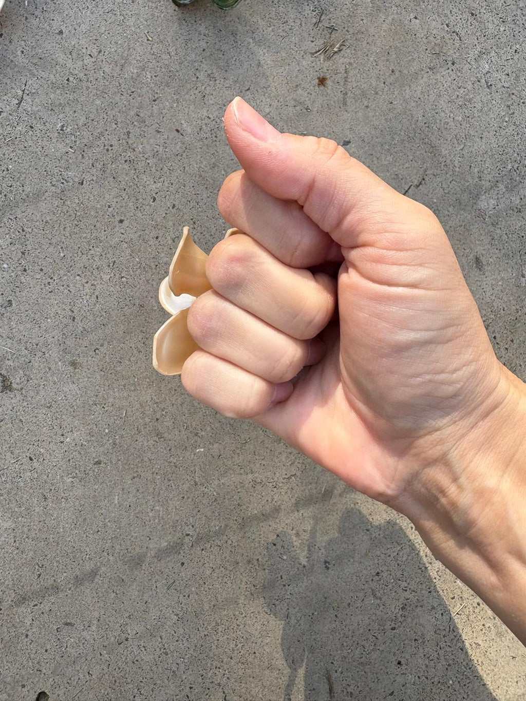 Anillo Magnolia nacar Beige