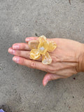 Anillo flor beige