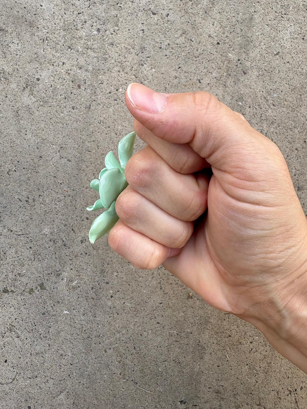 Anillo flor verde menta