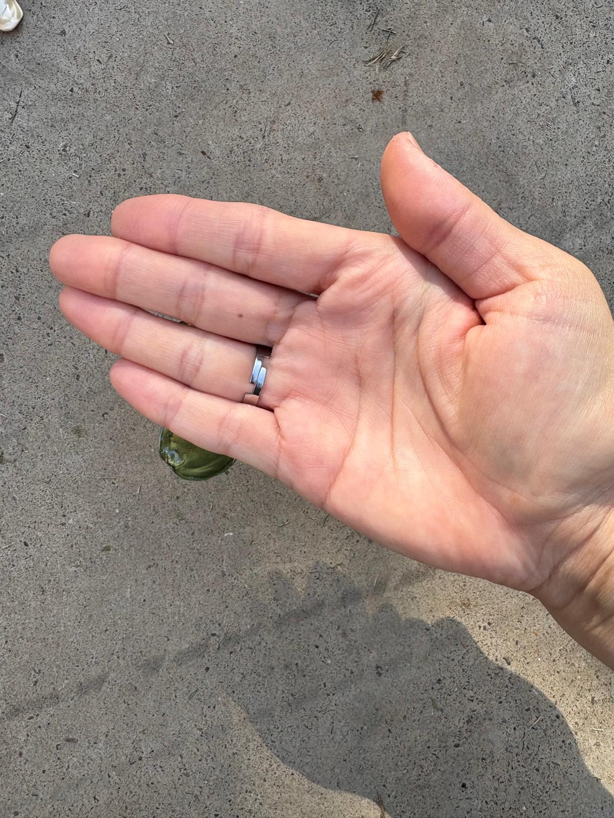 Anillo flor verde nacarada