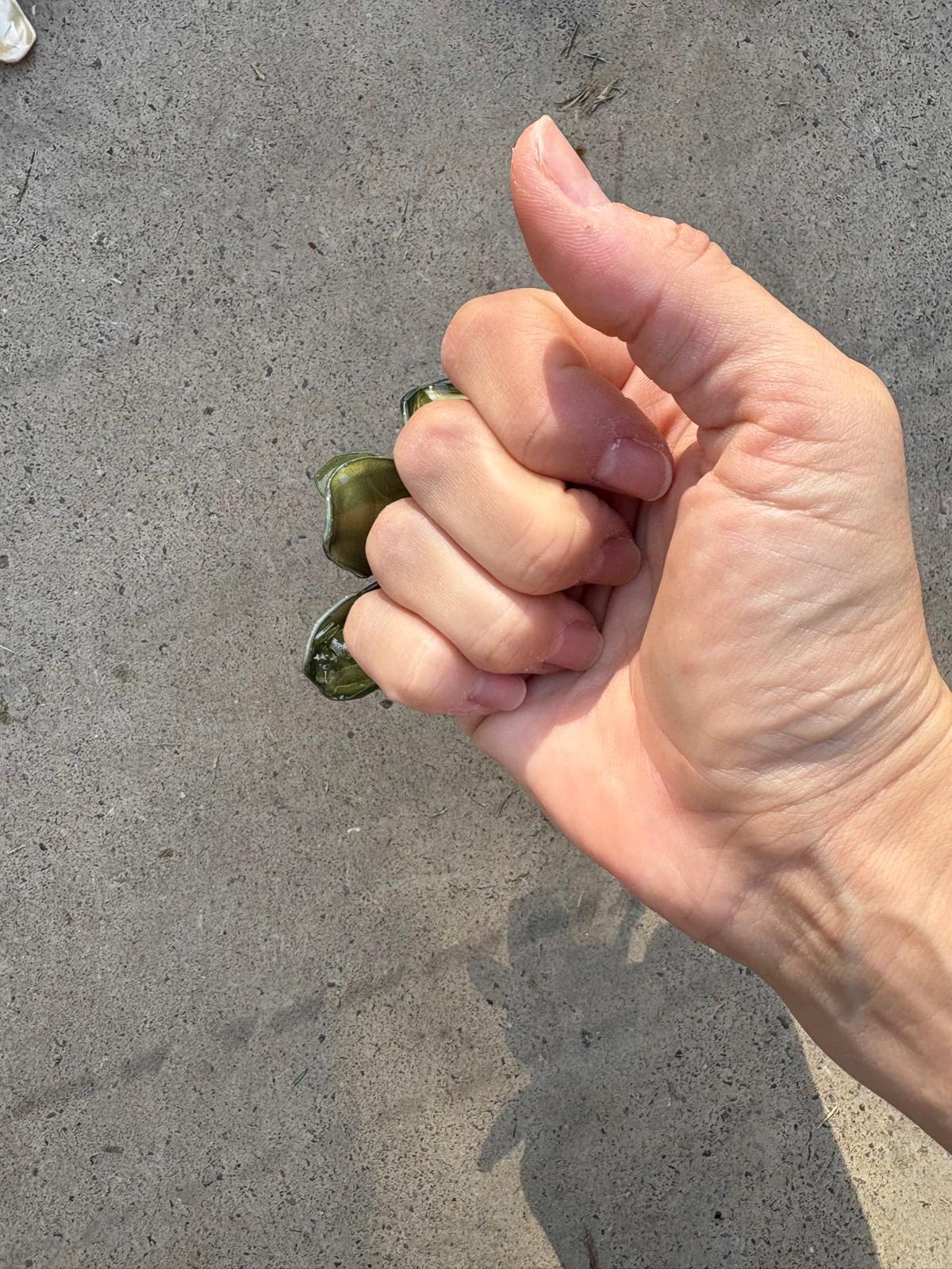 Anillo flor verde nacarada