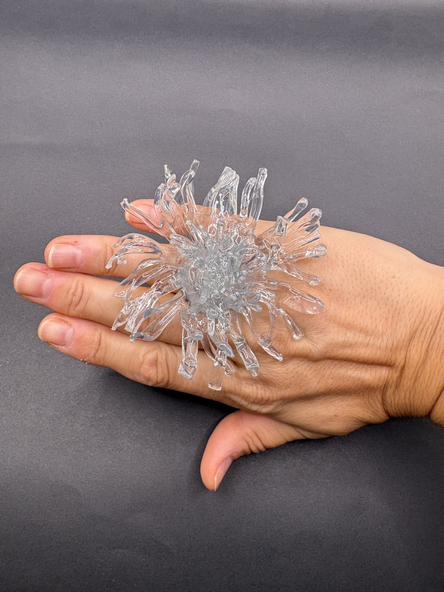 Anillo Dandelion Transparente