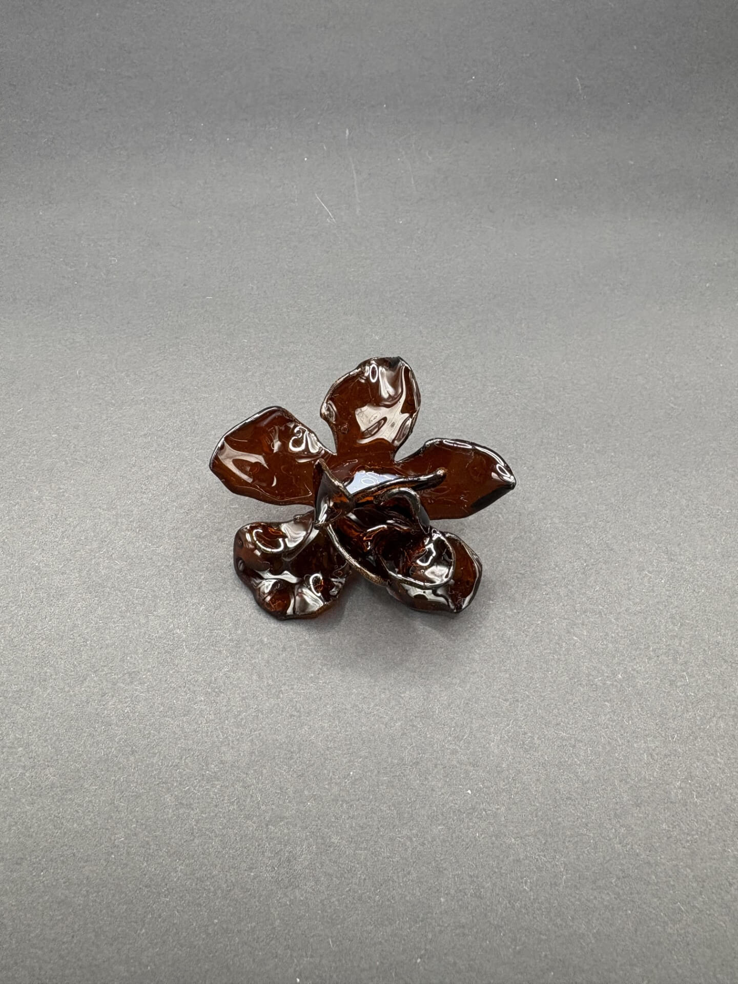 Anillo Magnolia Marrón Transparente